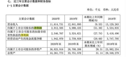 周鴻祎的追風之旅 360押注新造車，互聯網安全巨頭的轉型之困